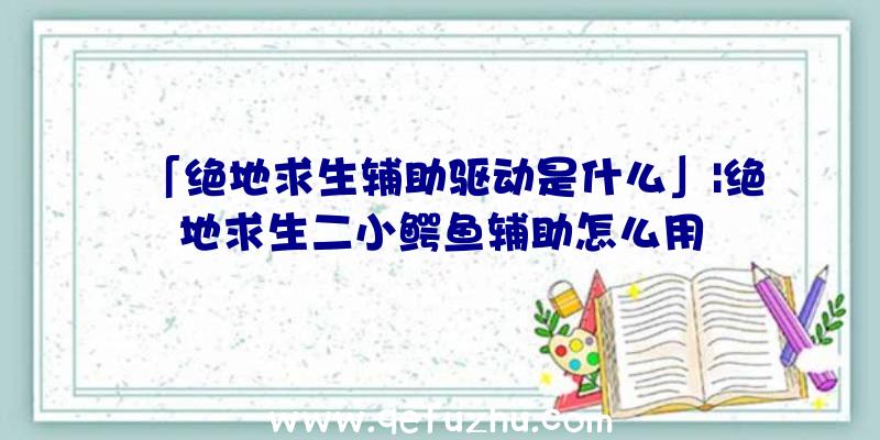 「绝地求生辅助驱动是什么」|绝地求生二小鳄鱼辅助怎么用